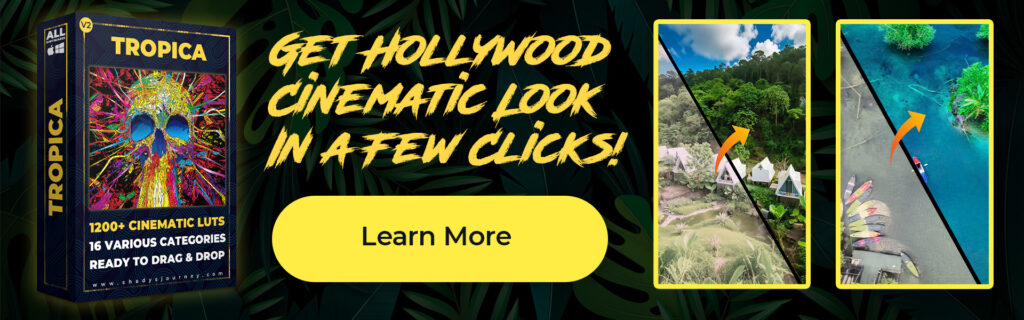 hollwood look video filters luts